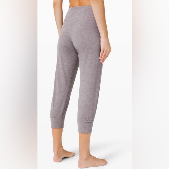 Align High Rise Cropped Jogger 23” in Lunar Rock EUC size 8 - Picture 2 of 7